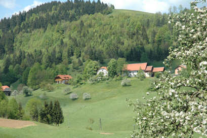Šentjošt nad Horjulom - Domačija Šentjošt nad Horjulom 42