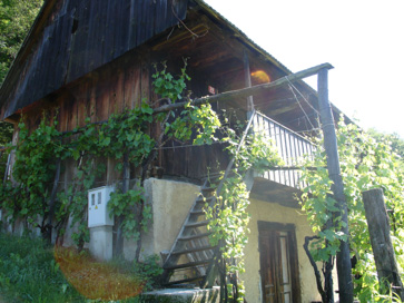 Trnovec nad Sevnico - Vinski hram Trnovec 39