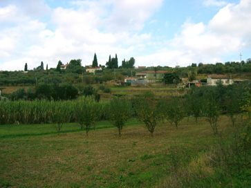 Seča - Naselje