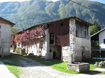 Sužid - Domačija Sužid 49