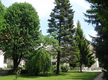 Kranj - Opuščeno pokopališče na Primskovem