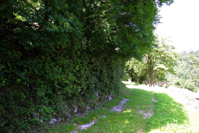 Lepence - Tovorniška pot