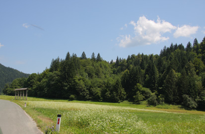 Bohinjska Češnjica - Arheološko najdišče Dunaj in Trebež