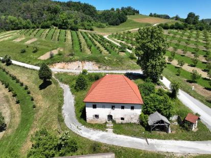 Dolenje Laknice - Pencetova hiša