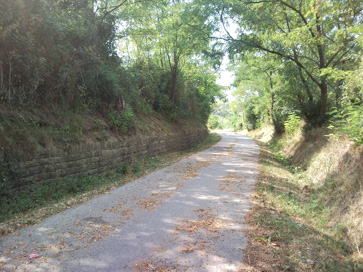 Izola - Trasa železniške proge Trst-Poreč od Šaleta do Strunjana