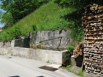 Dovje - Napajalno korito nasproti hiše Dovje 75