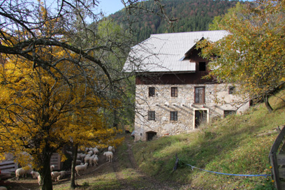 Srednji Vrh nad Martuljkom - Domačija Srednji Vrh 3