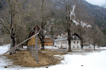 Zgornja Radovna - Domačija Zgornja Radovna 18