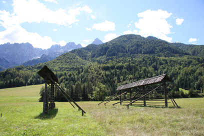 Log pri Kranjski Gori - Skupina kozolcev med Logom in Gozd Martuljkom