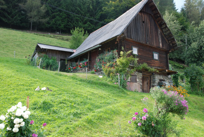 Pernice - Modrejeva kajža