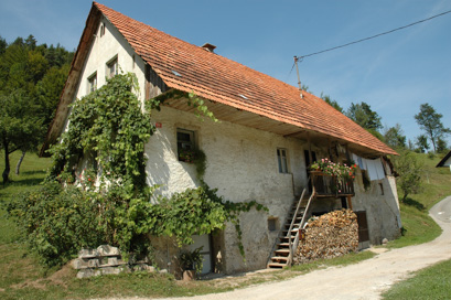 Želimlje - Hiša Želimlje 53