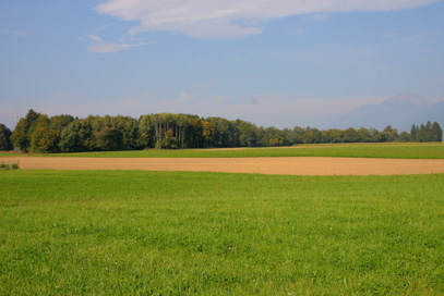 Strahinj - Villa rustica
