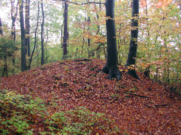 Gočova - Rimskodobno gomilno grobišče Gočovski vrh
