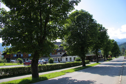 Bohinjska Bistrica - Kostanjev drevored