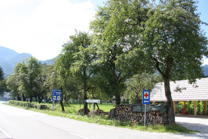 Bohinjska Bistrica - Hruškov drevored