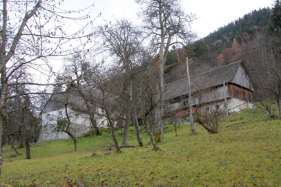 Kupljenik - Domačija Kupljenik 11