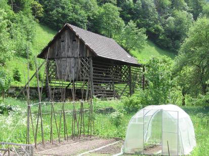 Tržič - Toplar pri hiši Cankarjeva 26