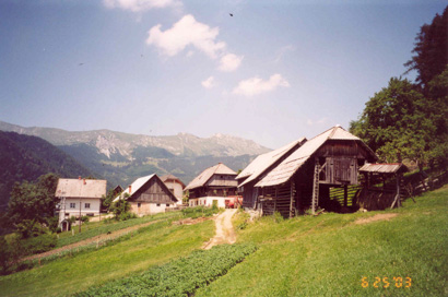 Dolina pri Tržiču - Domačija Dolina 25
