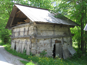 Grahovše - Apnenica