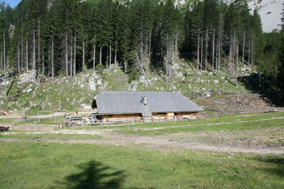Jelendol - Planina Dolga njiva