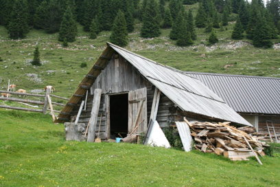 Jelendol - Planini Šija in Ilovica