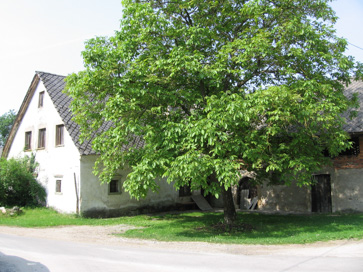 Retnje - Domačija Retnje 21
