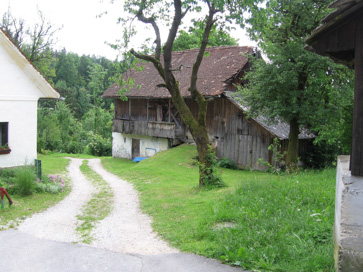 Senično - Domačija Senično 21