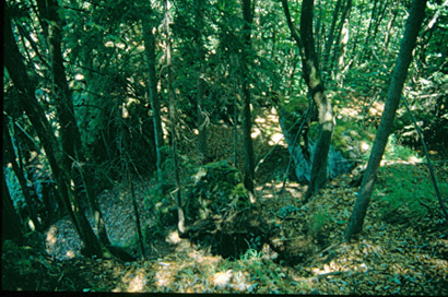Limbarska Gora - Grad Limberk