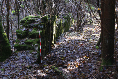 Hotedršica - Arheološko najdišče Merlakovo