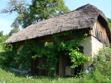 Ledina - Jazbinškova zidanica