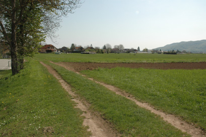 Dolenje Skopice - Arheološko najdišče Pesek I