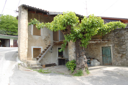 Vitovlje - Domačija Vitovlje 56