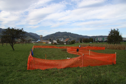 Ruše - Prazgodovinska naselbina