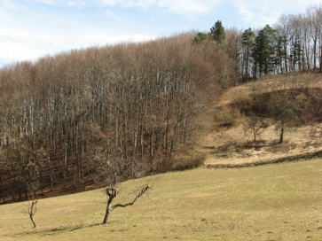Cirknica - Arheološko najdišče Berloga