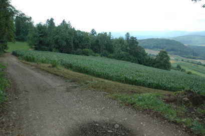 Dolenje Karteljevo - Arheološko območje Pristava