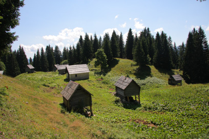 Stara Fužina - Planina Vodični vrh