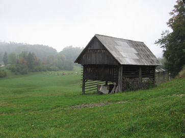 Gozd - Toplar na domačiji Gozd 38