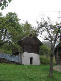 Gozd - Kašča pri domačiji Gozd 38