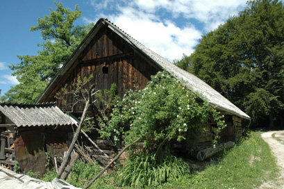 Janče - Domačija Janče 13