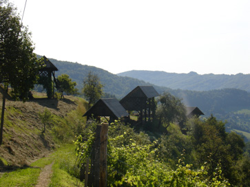 Razbor - Skupina kozolcev
