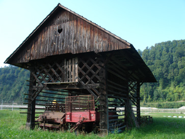 Log - Kozolci Loškega polja