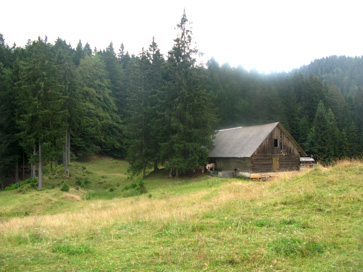 Jelovica - Planina Goška Ravan