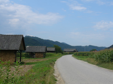 Dolnje Brezovo - Kozolci dolnjebrezovškega polja