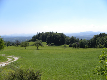 Šenturška Gora - Arheološko najdišče Straža