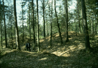 Olševek - Arheološko najdišče Straža-Apnišče-Kropivnjek