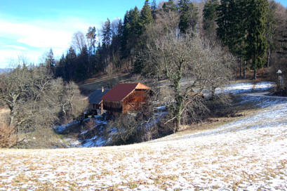 Spodnja Javoršica - Domačija Spodnja Javoršica 12