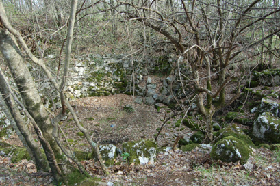 Sežana - Nova štirna
