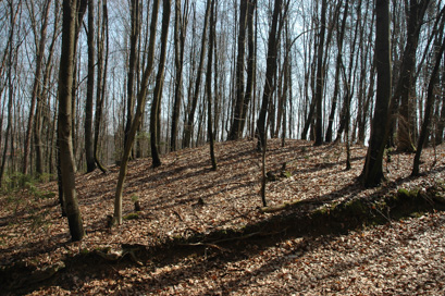 Dolenja vas pri Otočcu - Prazgodovinska gomila