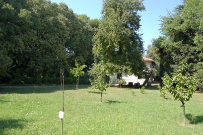 Izola - Vila Tomažičeva 14