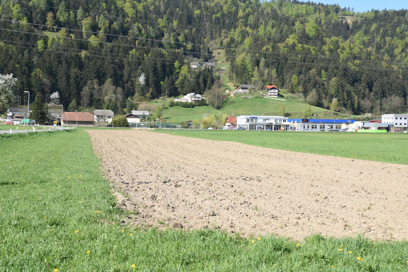 Pameče - Arheološko najdišče Pameče
